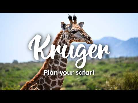 KRUGER NATIONAL PARK, SOUTH AFRICA (2024) | How To Plan A Self-Drive Safari In Kruger National Park