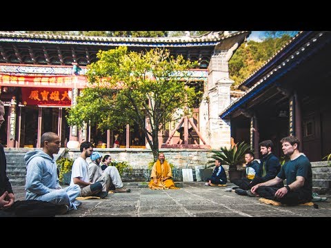 download lagu mp3 mp4 Zen Tao, download mp3 Zen Tao free download, download mp3 Zen Tao