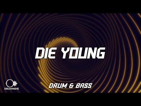 Venbee, Rudimental - Die Young