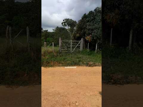 Cortês-pe, caminho para o círculo de oração no engenho Refrigerio #cortespernambuco