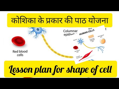 science lesson plan part -2 ( कोशिका का आकार ) | kosika ka akar ! call lesson plan Video