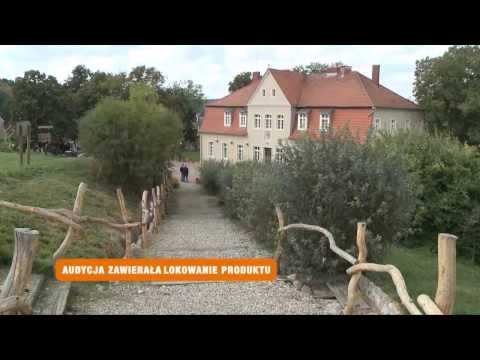 Olandia - o historii, Olendrach i rewitalizacji