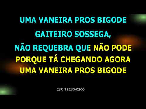 Portal Gaúcho • Vaneira pros bigode + Trancão de baile + Moda louca • BV