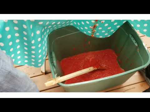 download lagu mp3 mp4 Pimenta Sauce, download lagu Pimenta Sauce gratis, unduh video klip Pimenta Sauce