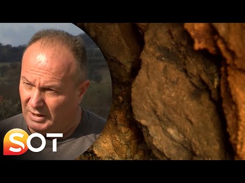 Fshati i Podujevës besohet të jetë i pasur me ar 24 11 2021