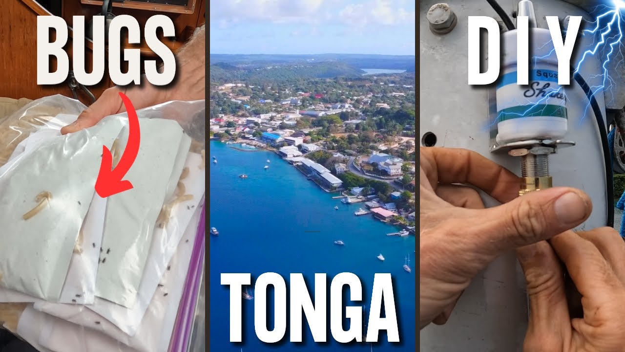 Bug Infestation On Our Boat!!  /  Mast DIY /  Kingdom Of Tonga  Ep 138