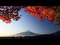 3 HOURS Of The Best Traditional Japanese Music Relaxing Music For Stress Relief And Healing