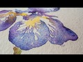 Paint an Iris flower in watercolor with Angela Fehr