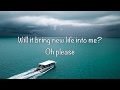 Blind Melon - New Life (with Lyrics) - Ramunas Bruzas Blind Melon - New Life (with Lyrics)