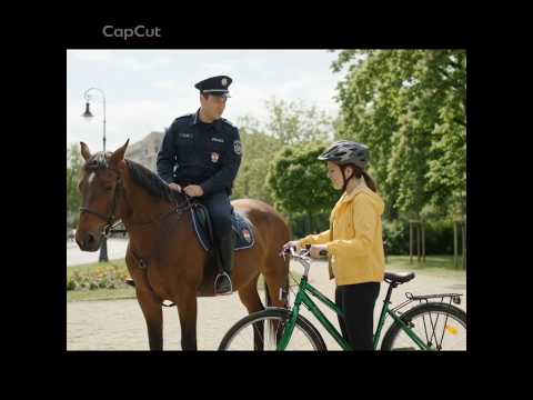Ajándék lónak #funnyvideo