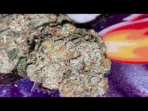 Don Mega Solfire gardens