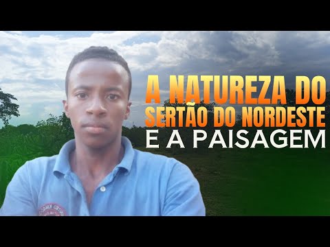 A NATUREZA DO SERTÃO DO NORDESTE E A PAISAGEM 