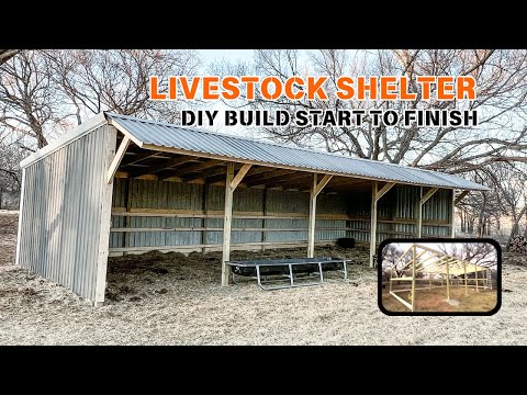 LIVESTOCK SHELTER BUILD | DIY Barn | Homestead | Small Farm