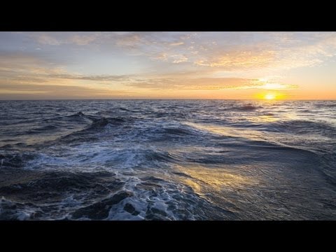 Wenn die bunten Fahnen wehen