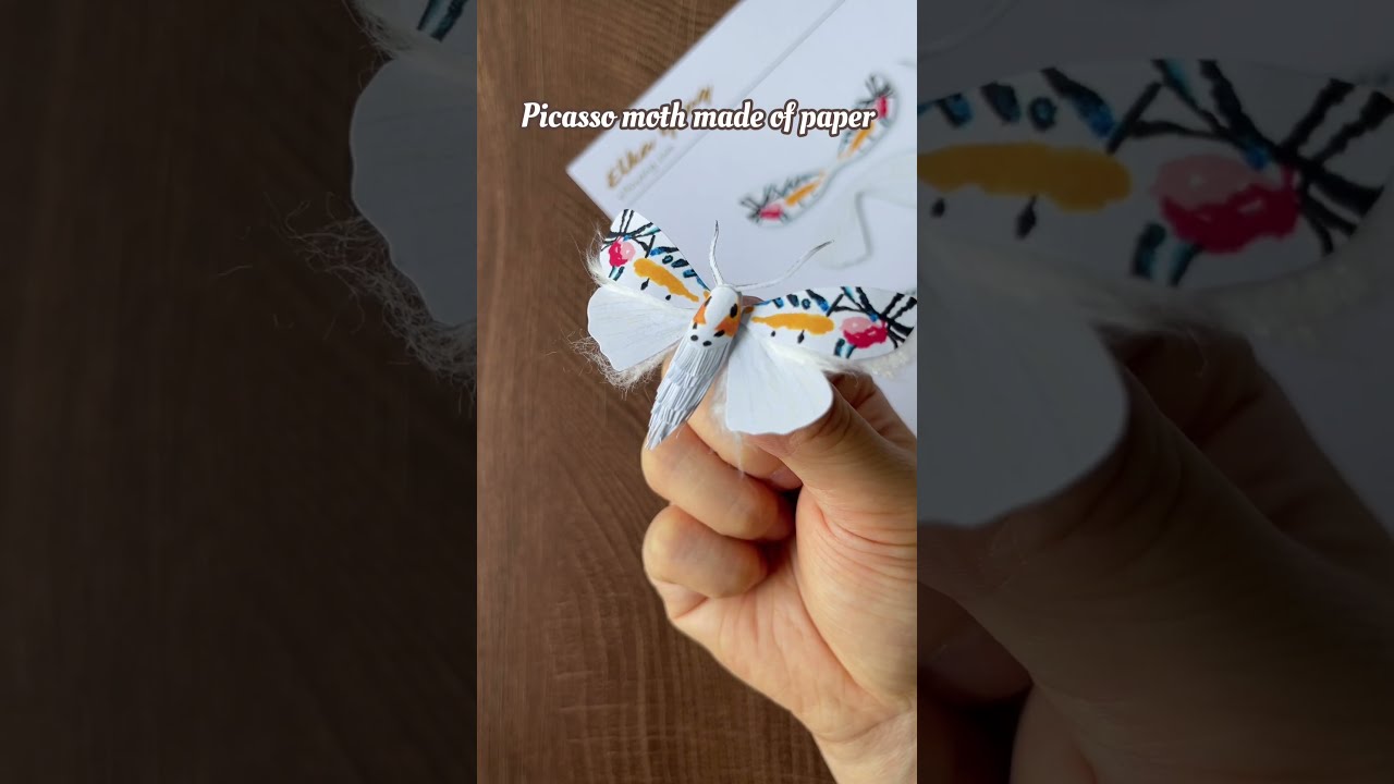 Abstract Beauty - Picasso Moth Made of Cardstocks and tissue
