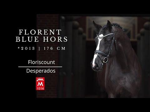 FLORENT BLUE HORS *2018 v. Floriscount - Desperados