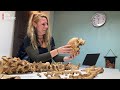 Dit was 2021: mysterieuze vondst in Vianen bleek 'gigantisch' massagraf [RTV Utrecht]