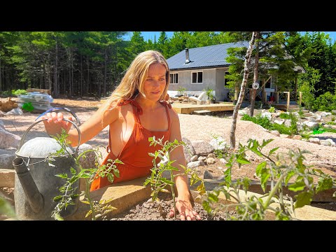 living in the woods alone