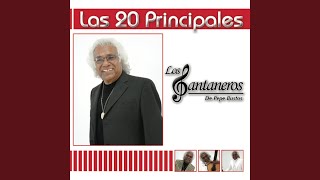 ¿Dónde estás Yolanda?