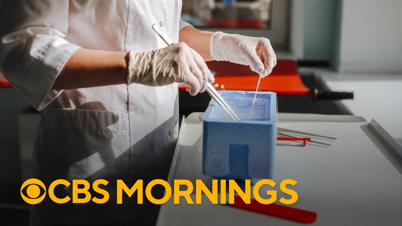Key things to know about egg freezing