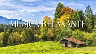 MEDITAÇÃO PARA RELAXAR Florestas no Mundo  ( forests in the world )