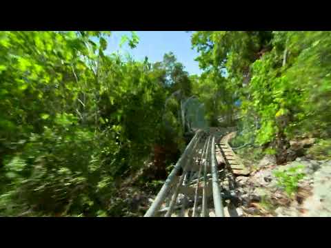 Nature.....#trending#youtube shorts#shorts feed#Aadhya#Kamuni Soujanya