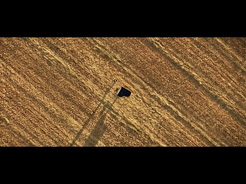 Rodrigo Leão - “O Método” (feat. Federico Albanese) - Official Video