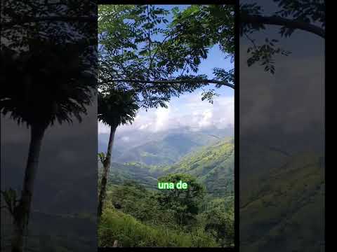 armenia mantequilla #antioquia #ciclismo #roadbike #vlog #travel