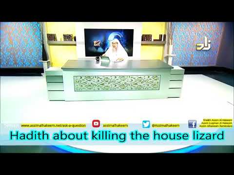 Killing the house Lizards - Sheikh Assim Al Hakeem
