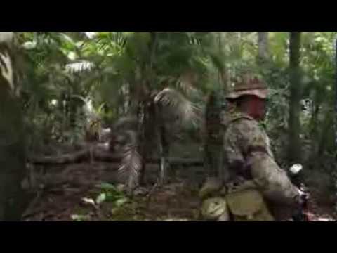 Manhunt: Killer Bees Attack Crew