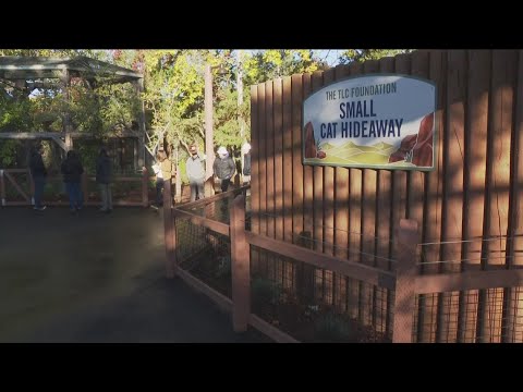 Zoo Boise unveils new and improved Small Animal Kingdom - YouTube