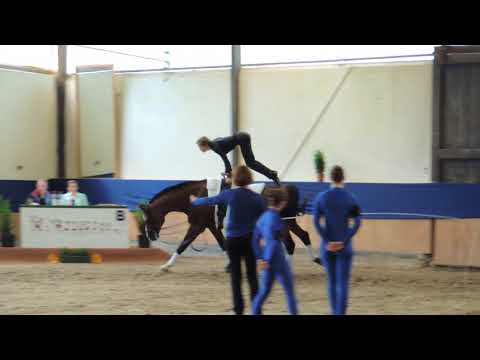 Voltigieren Wildenburg - M*-Gruppe (Pflicht&Kür) - Bundenbach 21.06.2015