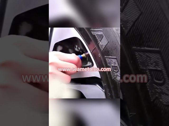 Vídeo relacionado con Air Valve Covers - Stylish Animal Pattern, Heavy Duty Metal Dust Caps, Airtight Rubber Seal Tire Stem Lids, Preventing Air Pressure Leakage Accessories | For Auto Bike Scooter Trailers