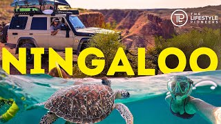😲 Do NOT MISS THIS In Exmouth! + Most Popular Campground In Aus!