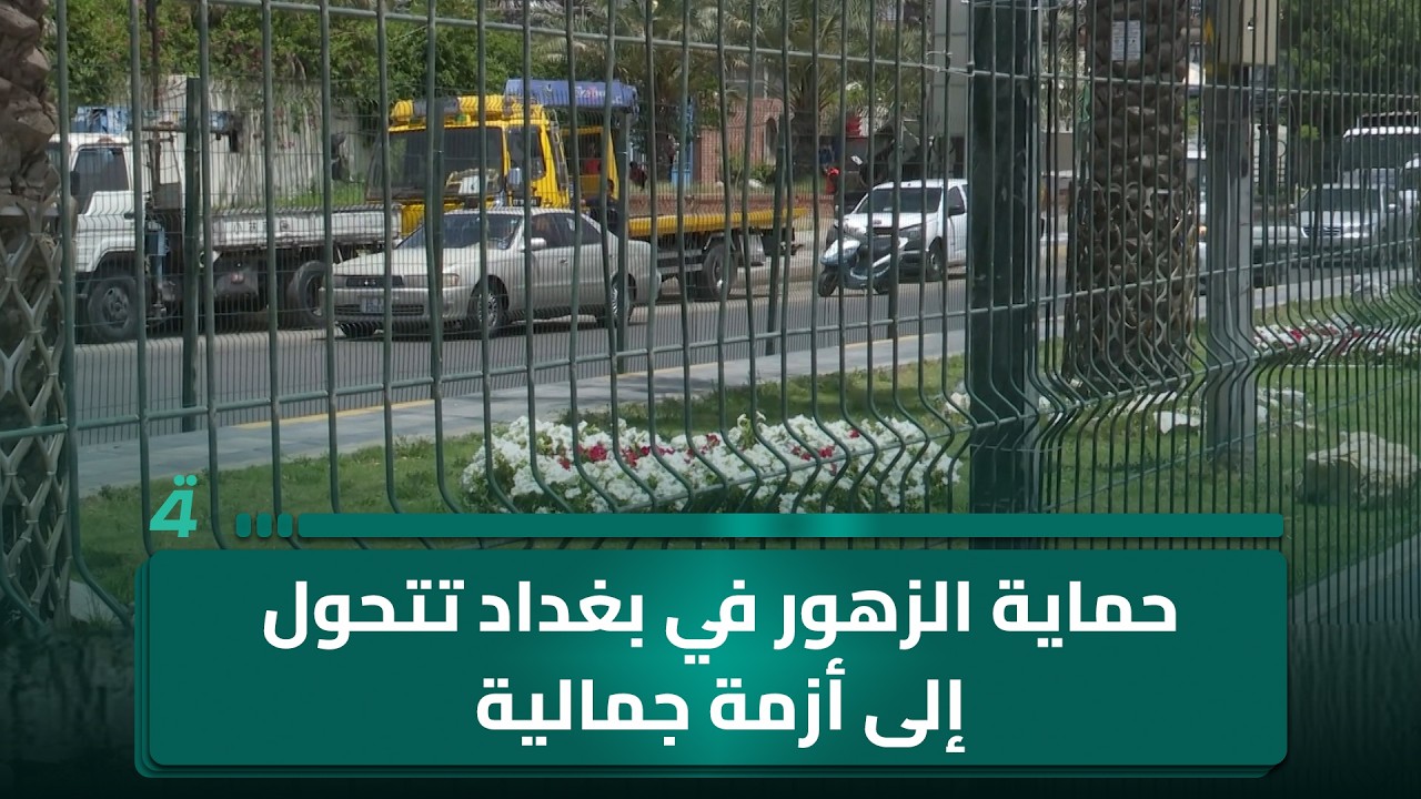 فيديو | حماية الزهور في بغداد تتحول إلى أزمة جمالية