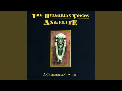 Begala E Vena (Live)