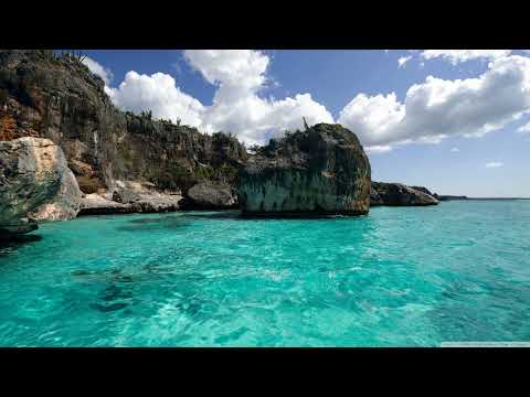 Mike van Fabio - Singularity [AVA White]