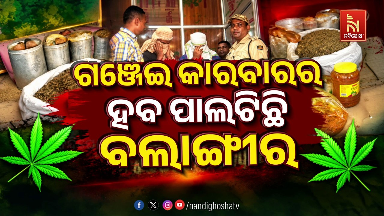 🔴Live | ଗଞ୍ଜେଇ କାରବାରର ହବ ପାଲଟିଛି ବଲାଙ୍ଗୀର