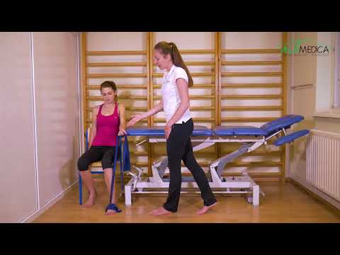 Masaż i body-building Niższe triceps nogi