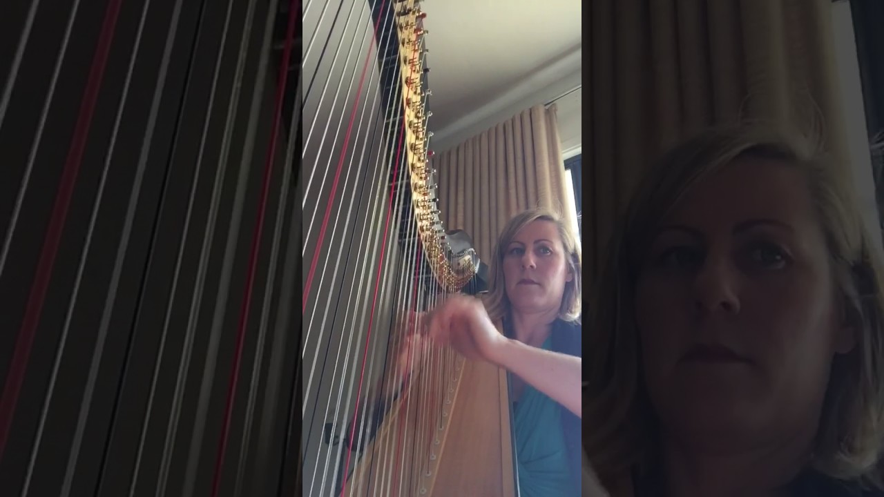 Hire Jessica Schaeffer, Harp Harpist in Asheville, North Carolina
