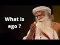 What is ego and how to handle it to become better person ?