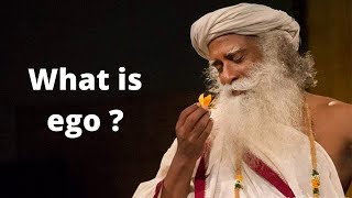 What is ego and how to handle it to become better person ?