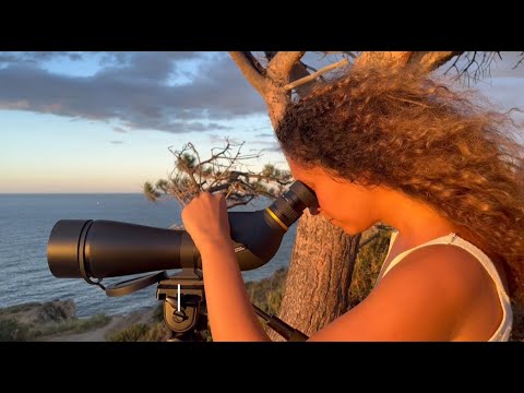 Telescopio para ver animales 🦆 NATIONAL GEOGRAPHIC Adventurer 20-60x80