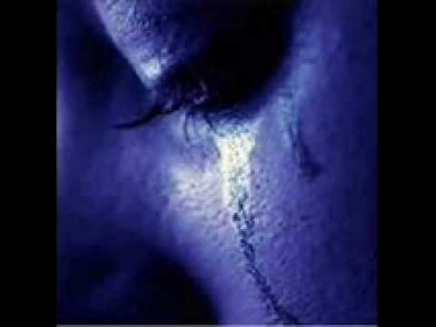 pr1mer mandamiento - hordatoj con toroporrocontorno