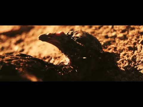 Saymon El Andariego - El Acto Imposible