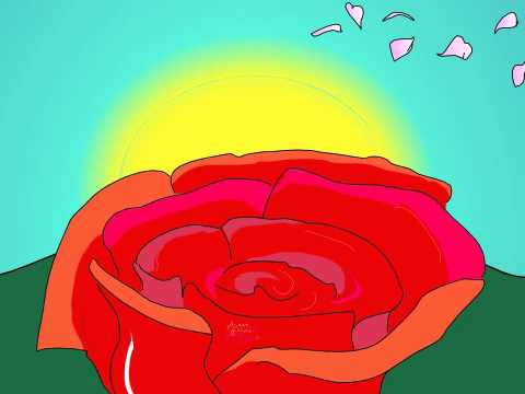 Best Wishes, Rosalba!