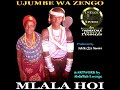 Download Mlala Hoi Ujumbe Wa Zengo By Lwenge Studio Usevya Mp3 Song