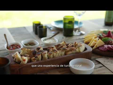 Olivos de las Ánimas - Club de Viajes COPAC