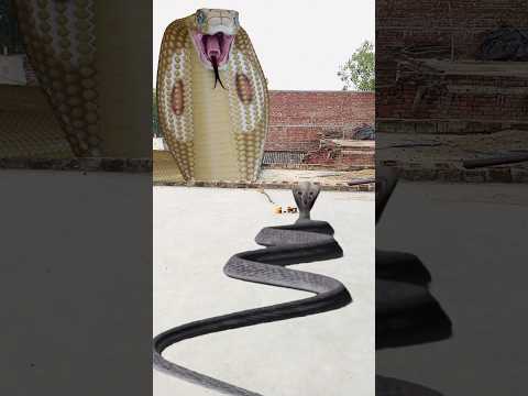 Shivji Mahakal 🙏🙏 nagdev video#youtubeshort #trending #2023 #viral #magic #vfx #snake  😱😱😱