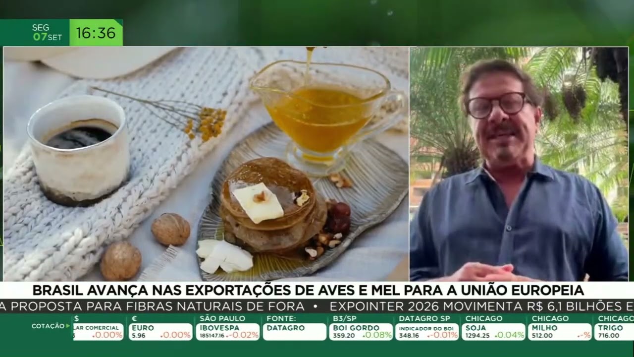 Brasil avança nas exportações de aves e mel para a União Europeia